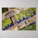Search for country scene posters Meadow