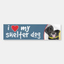 Search for black lab bumper stickers Heart