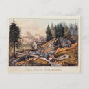 Search for gold miner postcards School