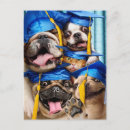 Search for funny cats and dogs postcards Avanti press