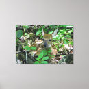Search for bambi posters Nature