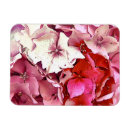 Search for hydrangea magnets Pink