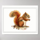 Search for red squirrel art Animal