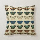 Search for entomology gifts Biology