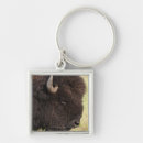 Search for american bison key rings Animal