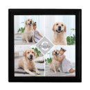 Search for photo gift boxes dog