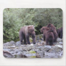 Search for grizzlies electronics Cubs