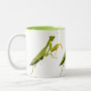 Search for praying mantids mugs Wildlife