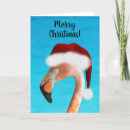 Search for flamingo christmas cards Bird