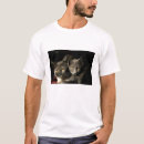Search for gray cat Animals