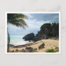 Search for roo postcards Yucatan