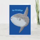 Search for common cards Fish