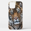 Search for tiger pictures iphone cases Wildlife