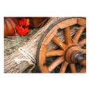 Search for cart art Pumpkin