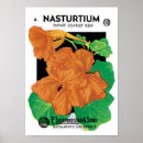Search for nasturtiums art Vintage