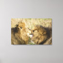 Search for nobody canvas prints Kenya