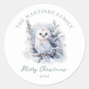 Search for snow owl stickers Merry christmas