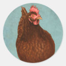 Search for rhode island red stickers Chicken