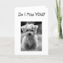 Search for i miss my missing cards Across the miles
