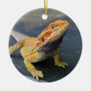 Search for bearded dragon christmas tree decorations Lizard