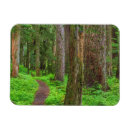 Search for growth magnets Green