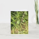 Search for seed cards Green