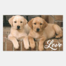 Search for labrador retriever stickers Puppy