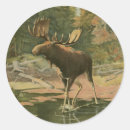 Search for moose hunting stickers Animal