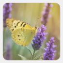 Search for lavender butterfly stickers Garden