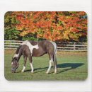 Search for paint horses mouse mats Farm