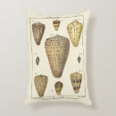 Search for shell cushions Sepia seashell