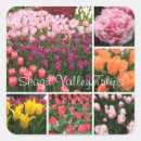 Search for tulips stickers Skagit valley