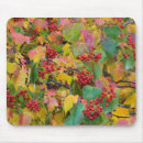 Search for leave mouse mats Ie