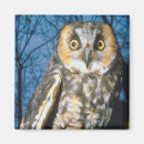 Search for speckle magnets Bird