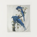 Search for john jay posters John james audubon