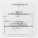 Search for fruit tree stickers Garden