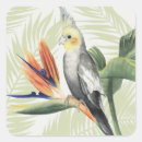Search for orange bird stickers Floral