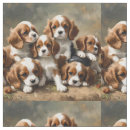 Search for spaniel fabric Pet