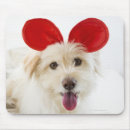 Search for bed mouse mats Animals