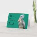 Search for happy bird day cards Fun