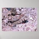 Search for goby posters Nature
