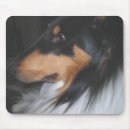 Search for tricolor mouse mats Animal