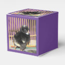 Search for photography favour boxes Cute