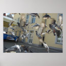 Search for fluttering posters Flying