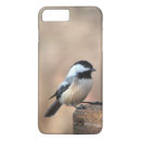 Search for chickadee iphone cases Nature