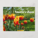 Search for botanic postcards City