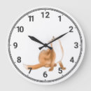 Search for fox clocks Drawing