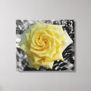 Search for raindrop canvas prints Macro