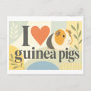 Search for guinea horizontal postcards Pigs