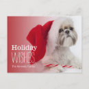 Search for shih tzu cards Usa